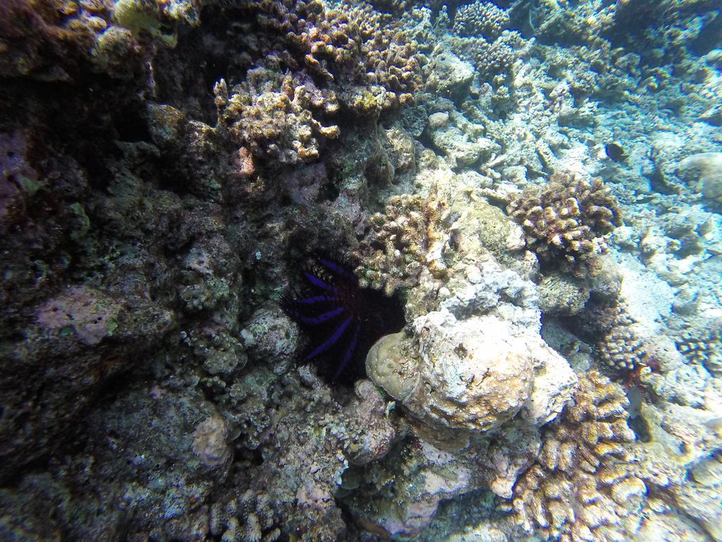 Manta Inn Бодуфолуду Экстерьер фото